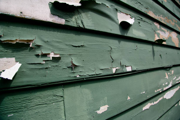 Best Demolition Debris Removal  in Keenesburg, CO